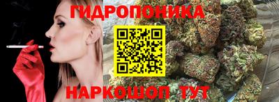 гашик Нарткала