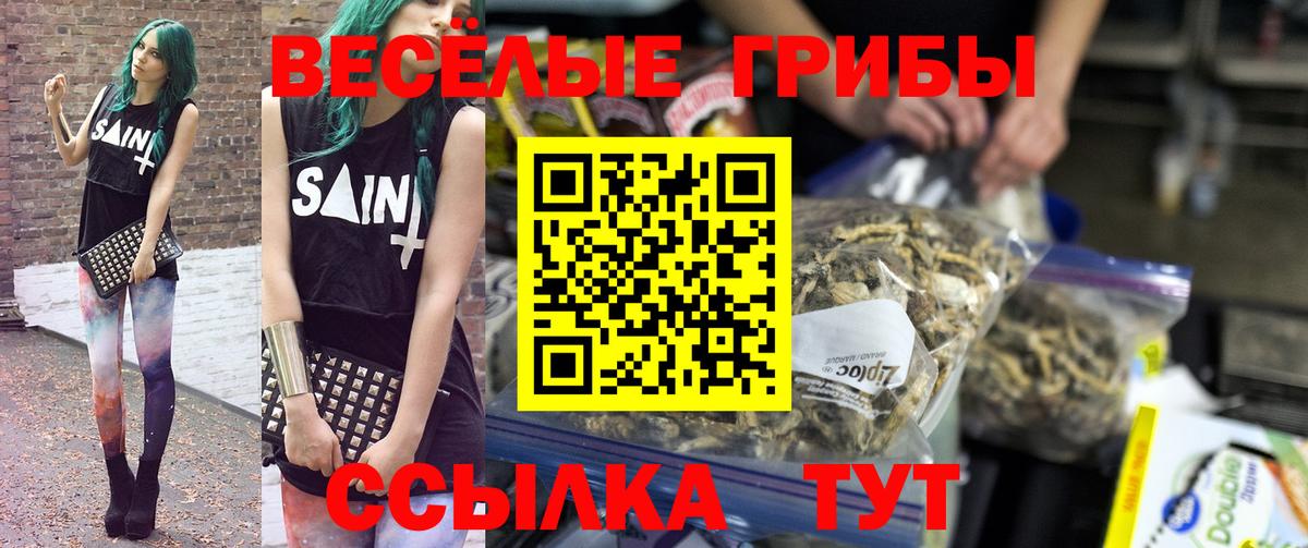 Тимашёвск  Псилоцибиновые грибы Magic Shrooms  Вход с VPN  купить закладку  Галлюциногенные грибы мухоморы 